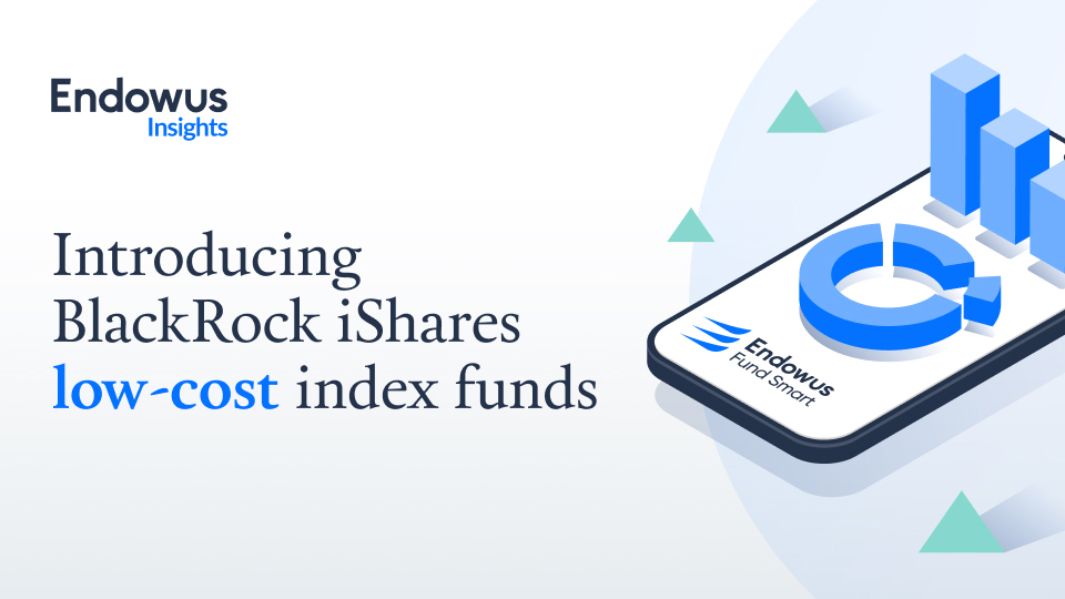 iShares lowcost index funds by BlackRock for retail investors